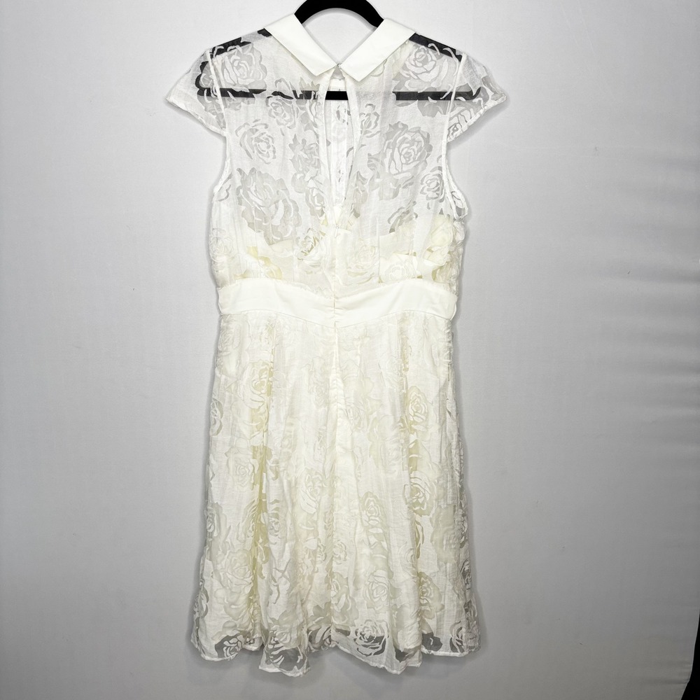 Unique Vintage Retro Ivory Rose Dress Lace Overlay Peter Pan Collar Size XL - Picture 6 of 11